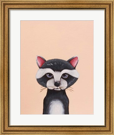 Framed Baby Raccoon Print