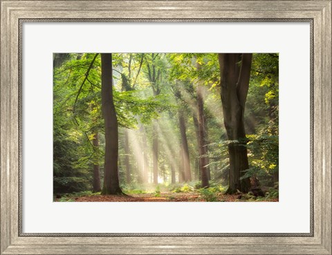 Framed Touch of Glory Print