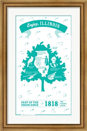 Framed Illinois Print