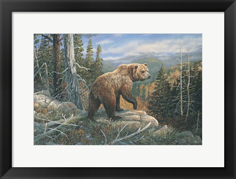 Framed Grizzlies Domain Print