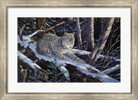 Framed Snow Moon Lynx Print