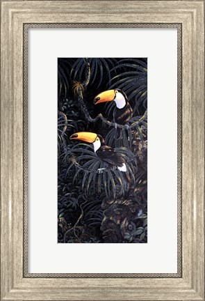 Framed Toucans Print