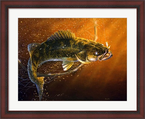 Framed Out Of The Net Walleye Print