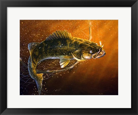 Framed Out Of The Net Walleye Print