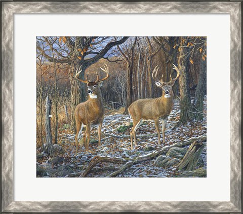 Framed Pair Of Eights Print