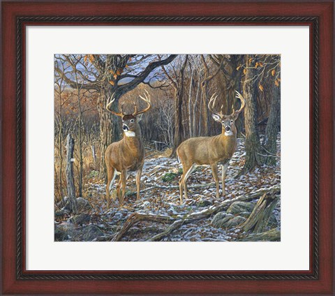 Framed Pair Of Eights Print