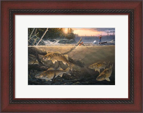 Framed Walleye In The Wood Print