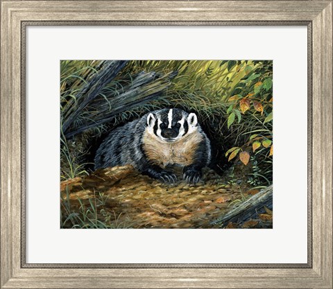 Framed Wisconsin Badger Print