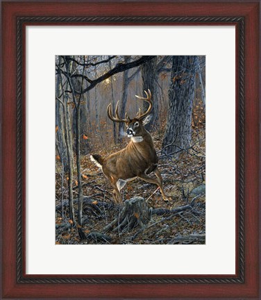 Framed Buck Fever Print