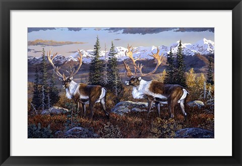 Framed Caribou Print