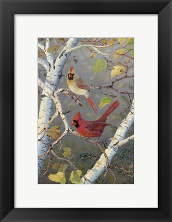 Framed Cardinals In Birch Print