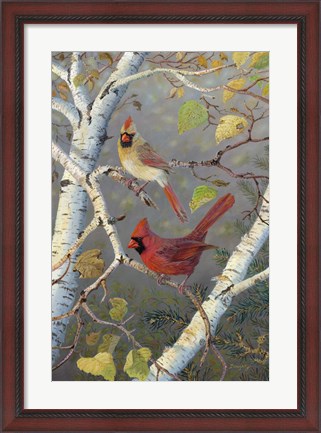 Framed Cardinals In Birch Print