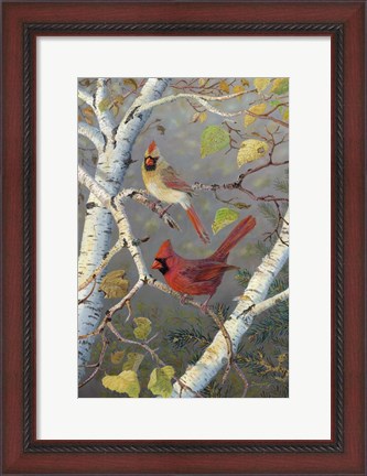 Framed Cardinals In Birch Print