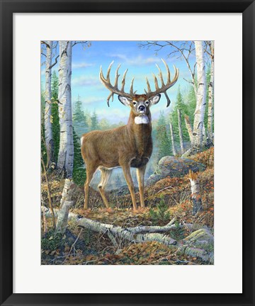 Framed Dream Buck Print