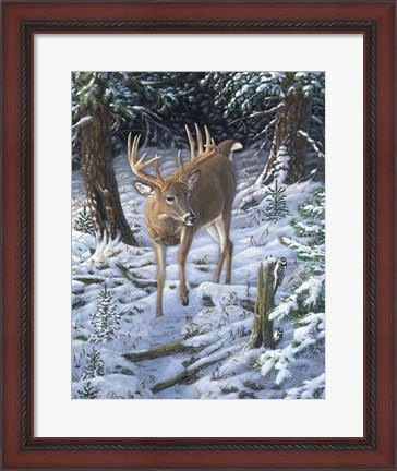 Framed Winter Encounter Print