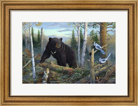 Framed Surprise Encounter Print