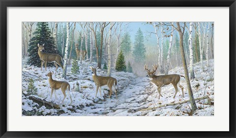 Framed Whitetail Passion Print