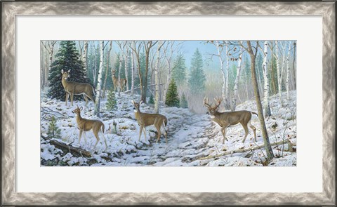 Framed Whitetail Passion Print