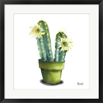 Framed Cactus Flowers II Print