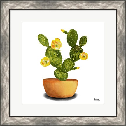 Framed Cactus Flowers III Print