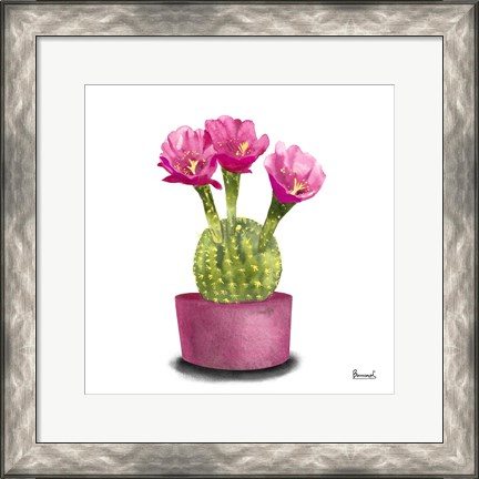 Framed Cactus Flowers V Print
