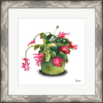 Framed Cactus Flowers VIII Print