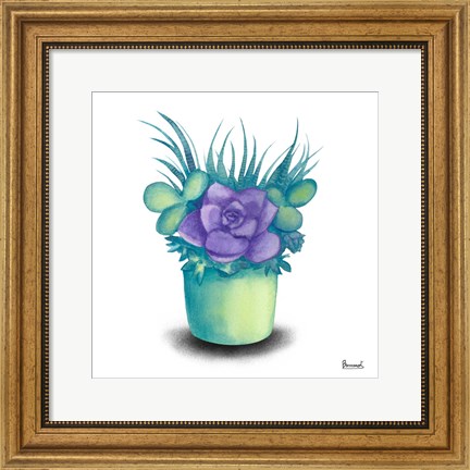 Framed Turquoise Succulents III Print