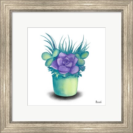 Framed Turquoise Succulents III Print