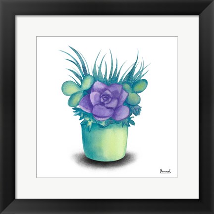 Framed Turquoise Succulents III Print