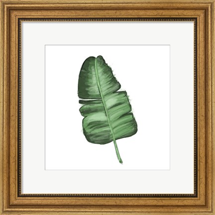 Framed Leaves of the Tropics I Print