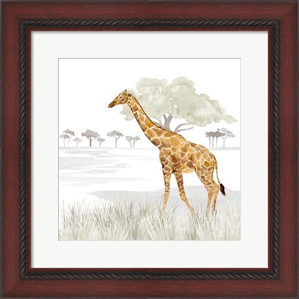 Framed Serengeti Giraffe Square Print