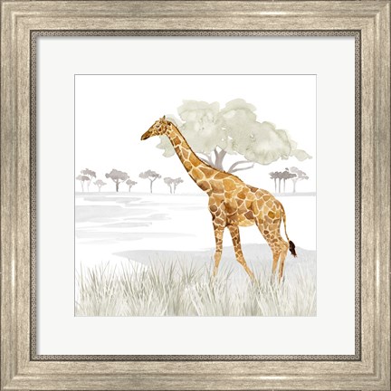 Framed Serengeti Giraffe Square Print