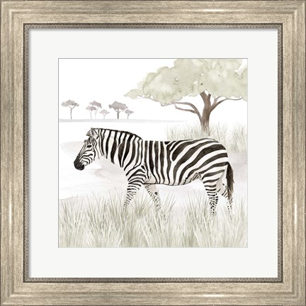 Framed Serengeti Zebra Square Print