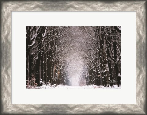 Framed Winter Tunnel Print