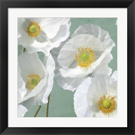 Framed Poppies on Mint I Print