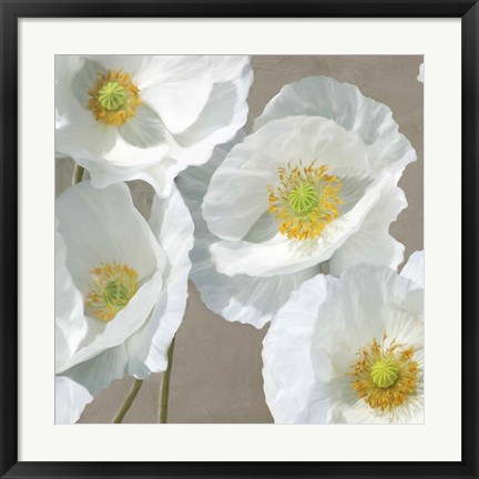 Framed Poppies on Taupe I Print