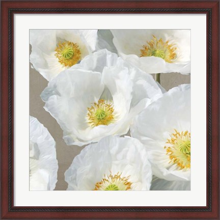 Framed Poppies on Taupe II Print