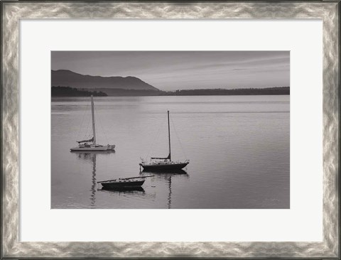 Framed Bellingham Bay BW Print