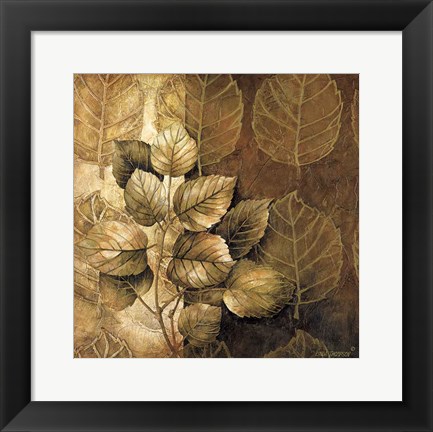 Framed Leaf Patterns III Print