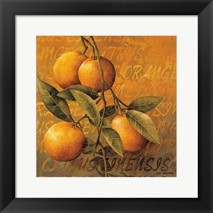 Framed Orange Branch Print