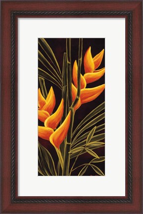 Framed Heliconia Print