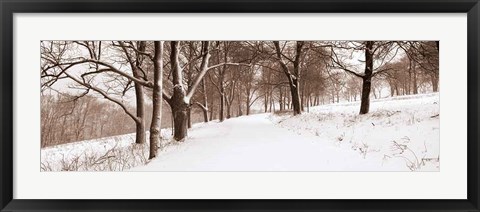 Framed First Snow I Print