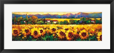 Framed Sweeping Fields of Sunflowers Print