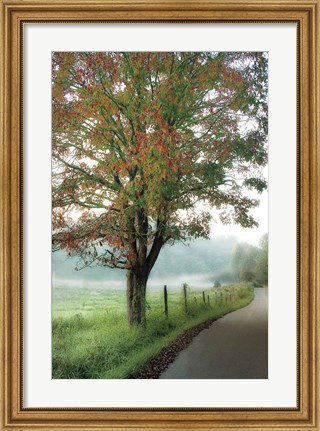 Framed Almost Autumn Print