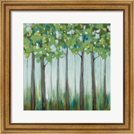Framed Tranquil View II Print