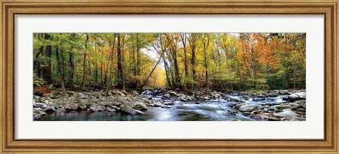 Framed Porters Creek Print