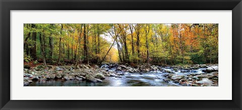 Framed Porters Creek Print