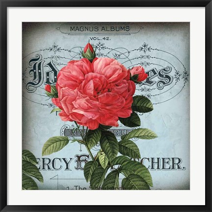 Framed Petite Rose I Print