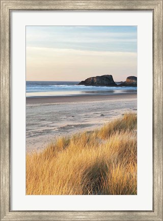 Framed Dune Grass And Beach I Print