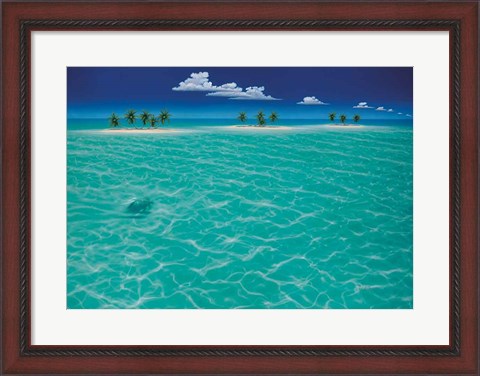 Framed Turtle Crossing Print